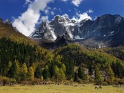 lƖRCqa̖逎q@lƖRsEcA[